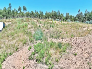 Terreno para Venda em Campelos e Outeiro da Cabeça