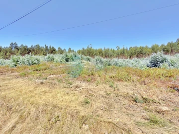 Terreno para Venda em Campelos e Outeiro da Cabeça