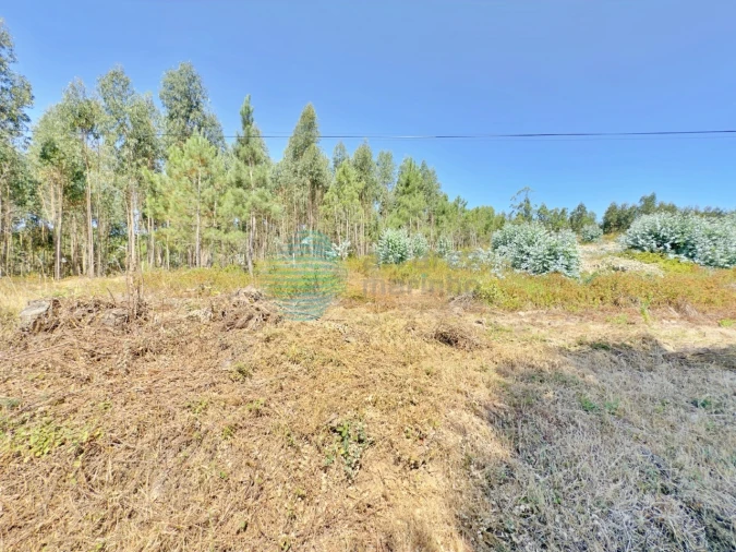 Terreno para Venda em Campelos e Outeiro da Cabeça Foto 14