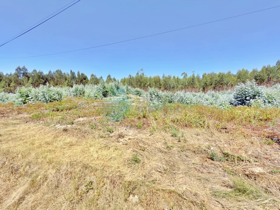 Terreno para Venda em Campelos e Outeiro da Cabeça Foto 12