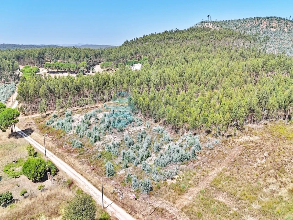 Terreno para Venda em Campelos e Outeiro da Cabeça Foto 14