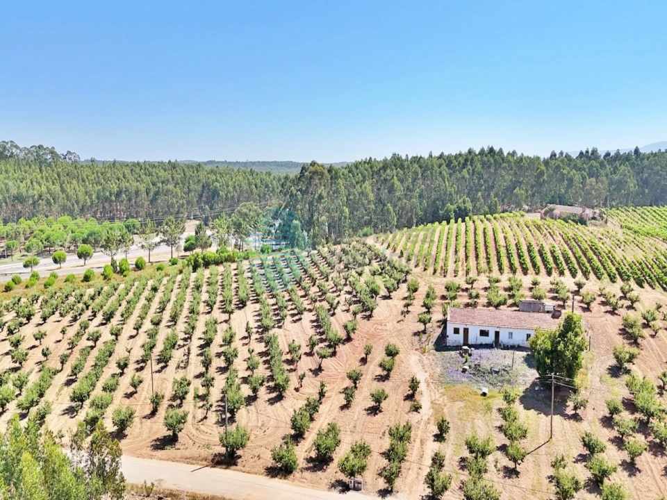 Terreno para Venda em Campelos e Outeiro da Cabeça Foto 19