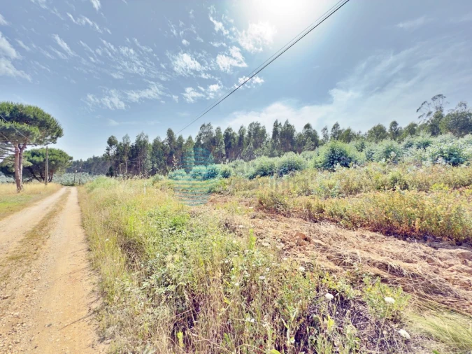 Terreno para Venda em Campelos e Outeiro da Cabeça Foto 3