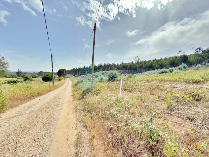 Terreno para Venda em Campelos e Outeiro da Cabeça Foto 6