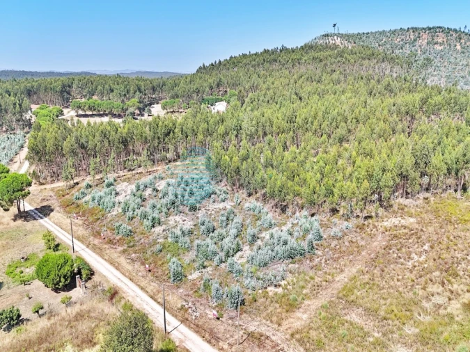 Terreno para Venda em Campelos e Outeiro da Cabeça Foto 14