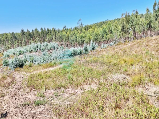 Terreno para Venda em Campelos e Outeiro da Cabeça Foto 21