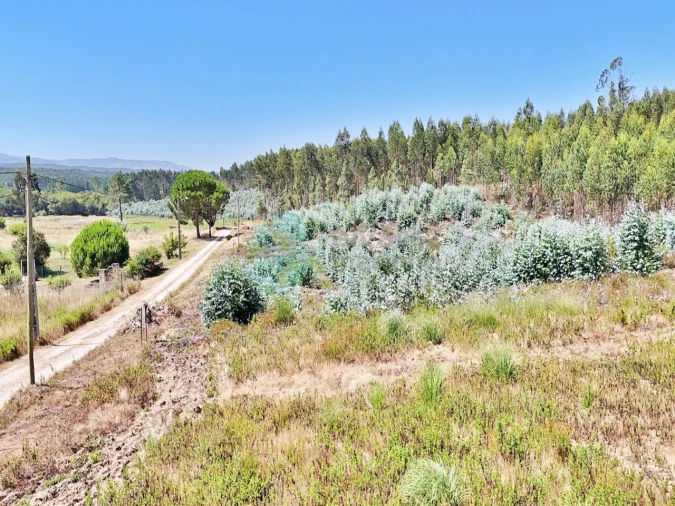 Terreno para Venda em Campelos e Outeiro da Cabeça Foto 22