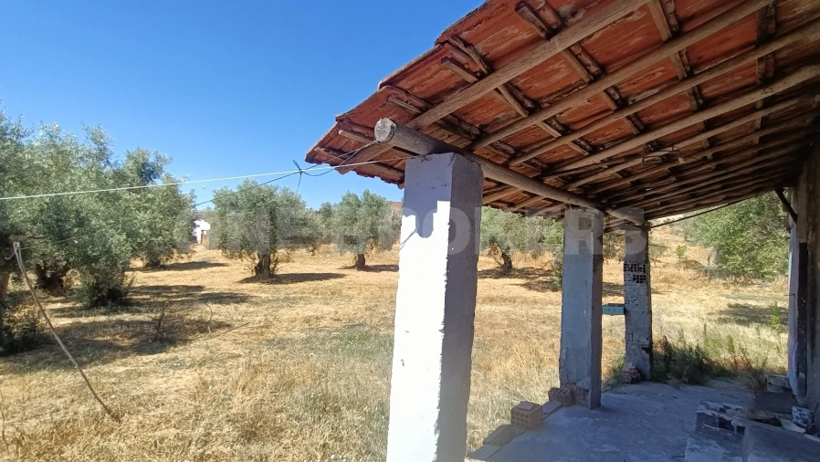 Moradia T5 para Venda em Arneiro das Milhariças Foto 14