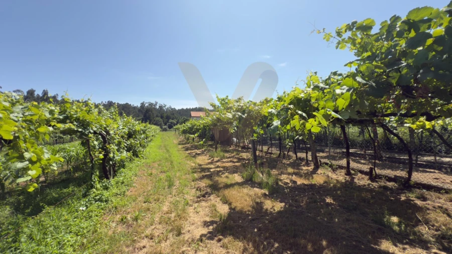 Terreno para Venda em Estorãos Foto 4