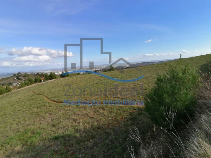 Terreno Agricola ou Rústico para Venda em Alenquer (Santo Estêvão e Triana) Foto 6