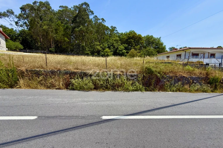 Terreno para Venda em Monte Córdova Foto 3