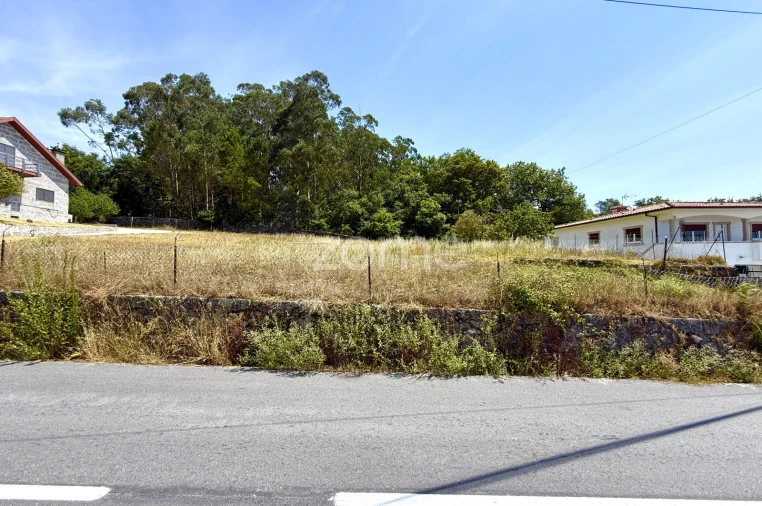 Terreno para Venda em Monte Córdova Foto 4