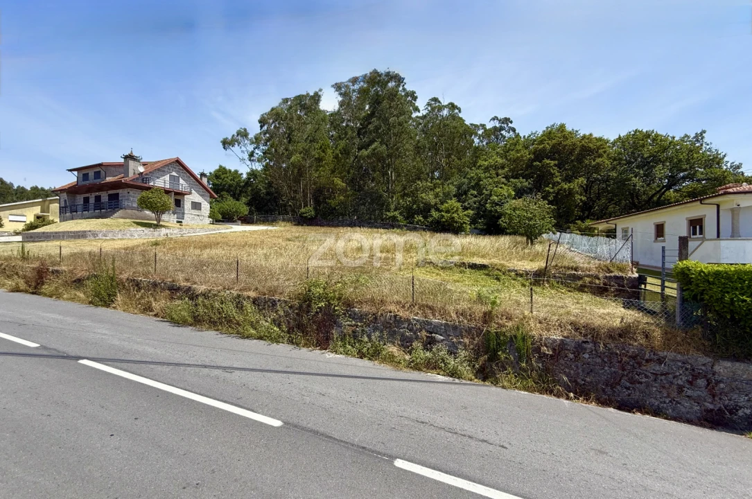 Terreno para Venda em Monte Córdova Foto 8