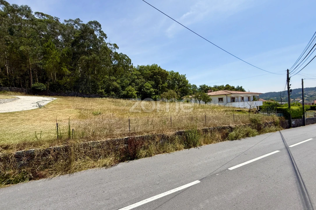 Terreno para Venda em Monte Córdova Foto 11