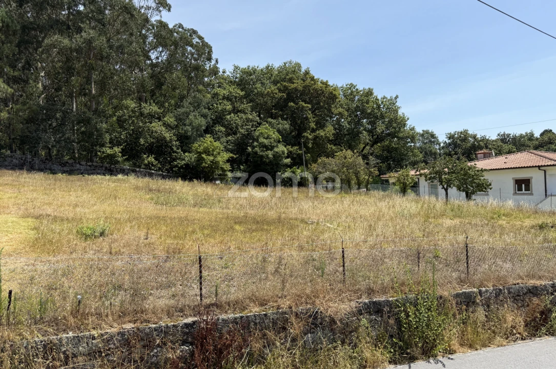 Terreno para Venda em Monte Córdova Foto 13