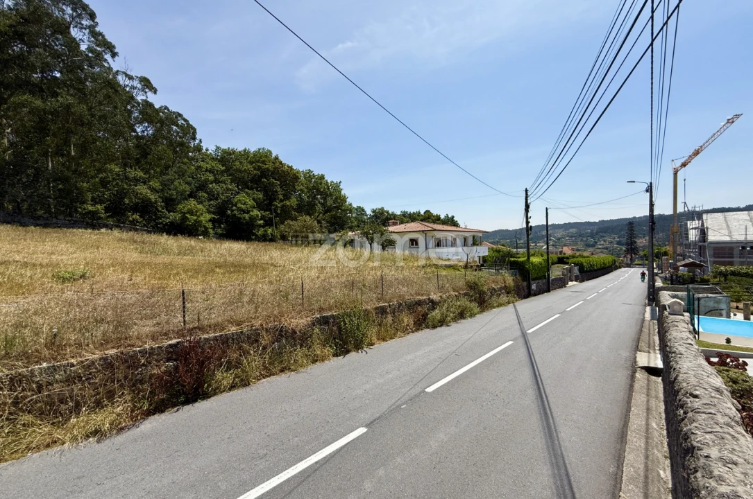 Terreno para Venda em Monte Córdova Foto 14