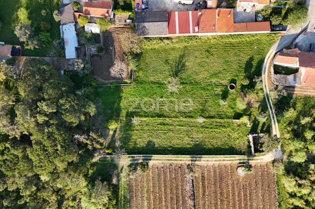 Terreno para Venda em Portunhos e Outil Foto 17