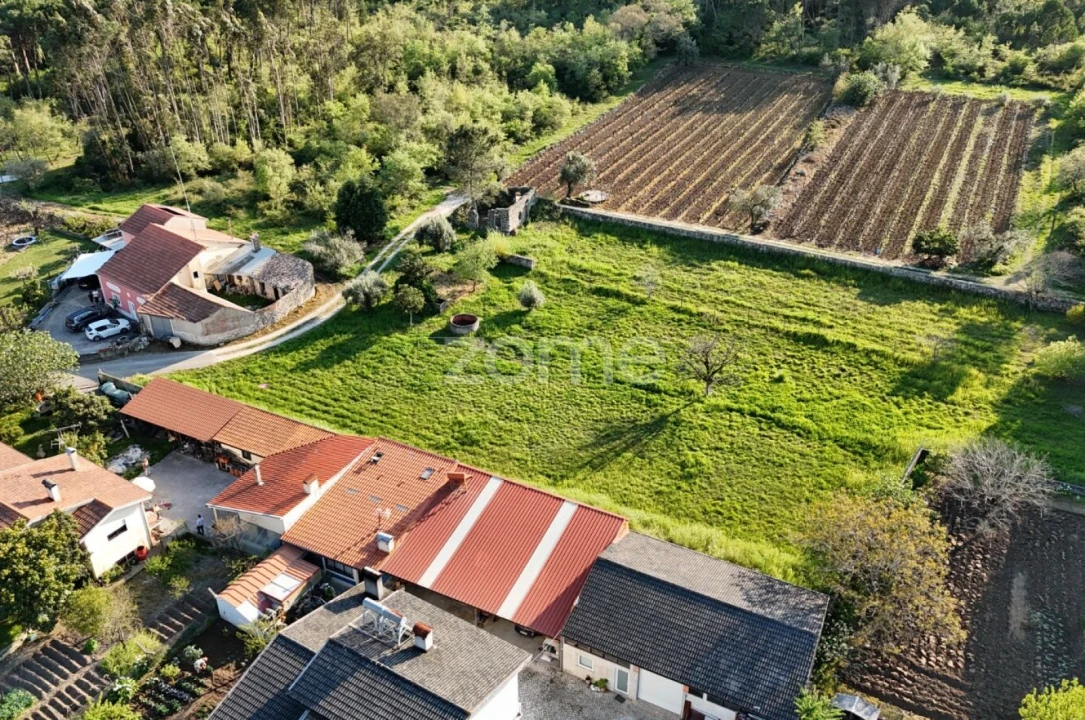 Terreno para Venda em Portunhos e Outil Foto 1