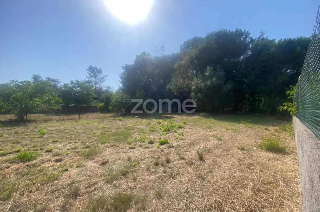 Terreno para Venda em Portunhos e Outil Foto 2