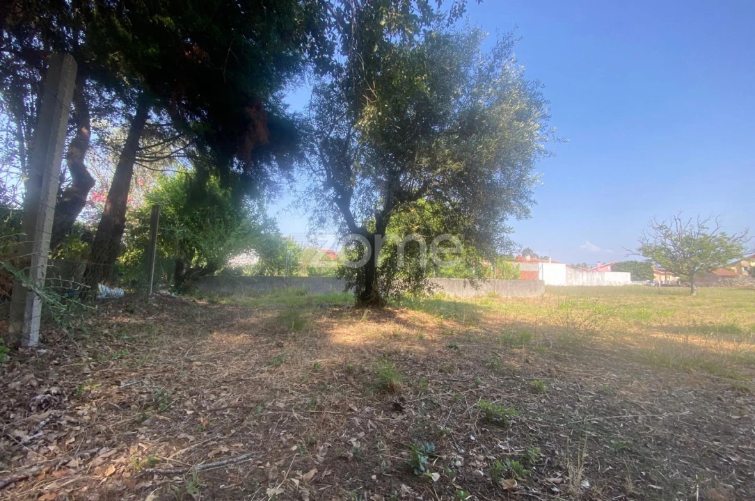 Terreno para Venda em Portunhos e Outil Foto 16