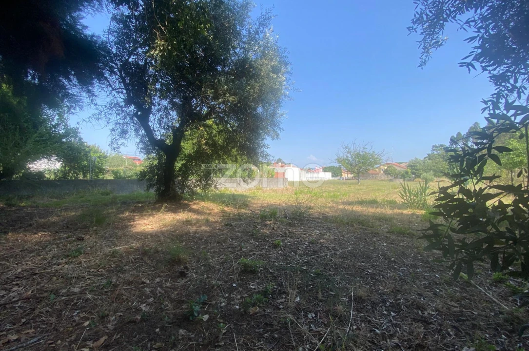 Terreno para Venda em Portunhos e Outil Foto 3