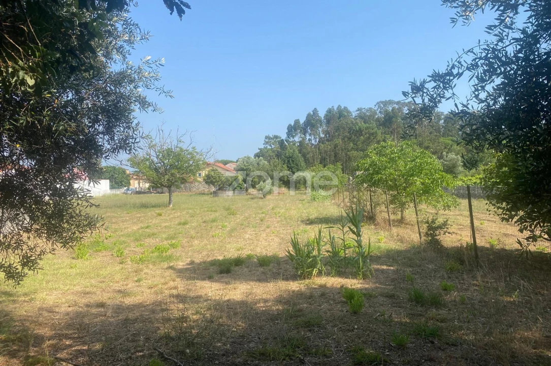 Terreno para Venda em Portunhos e Outil Foto 7