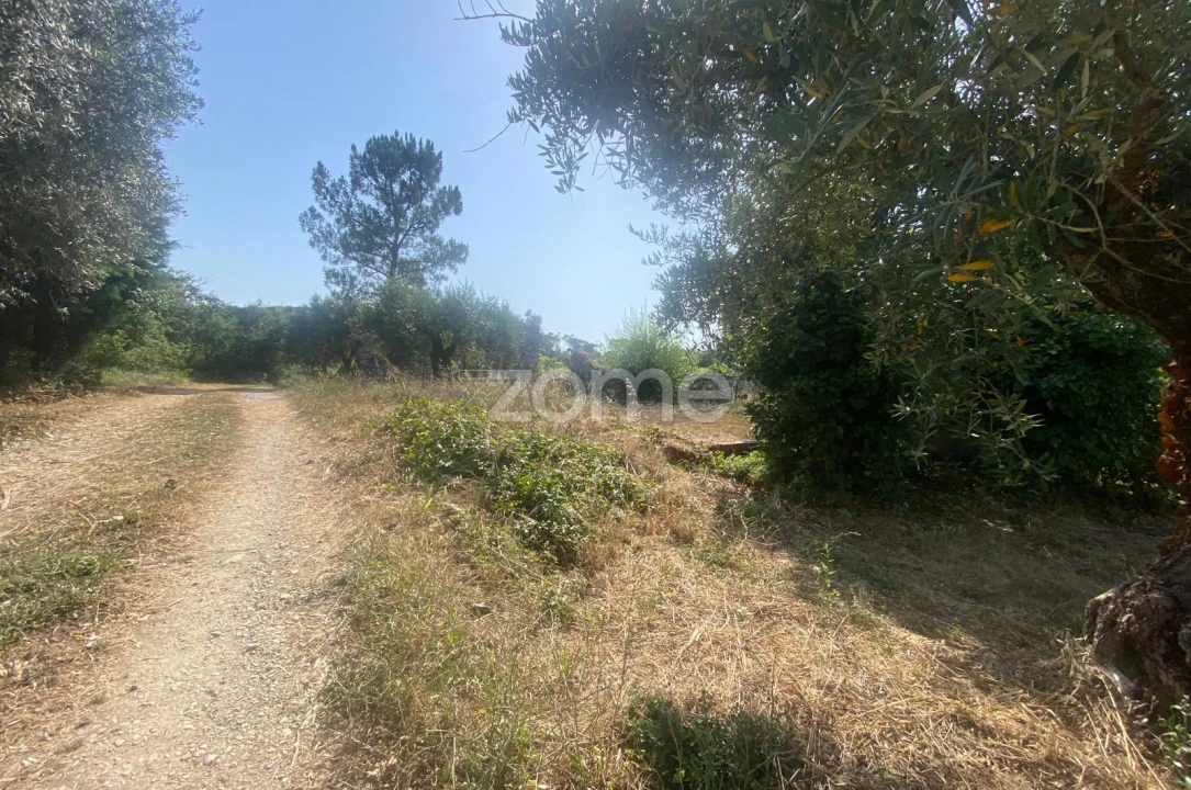 Terreno para Venda em Portunhos e Outil Foto 10
