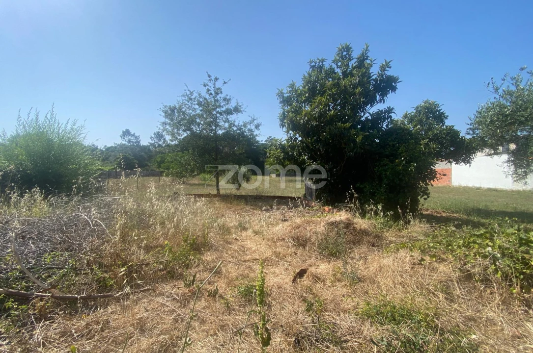 Terreno para Venda em Portunhos e Outil Foto 11