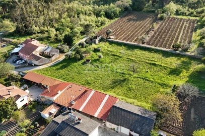 Terreno para Venda em Portunhos e Outil