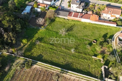 Terreno para Venda em Portunhos e Outil