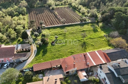 Terreno para Venda em Portunhos e Outil