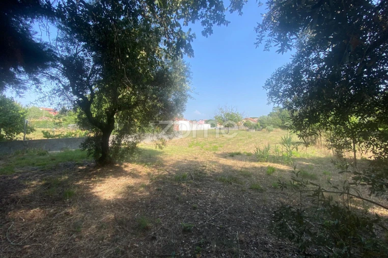 Terreno para Venda em Portunhos e Outil Foto 5