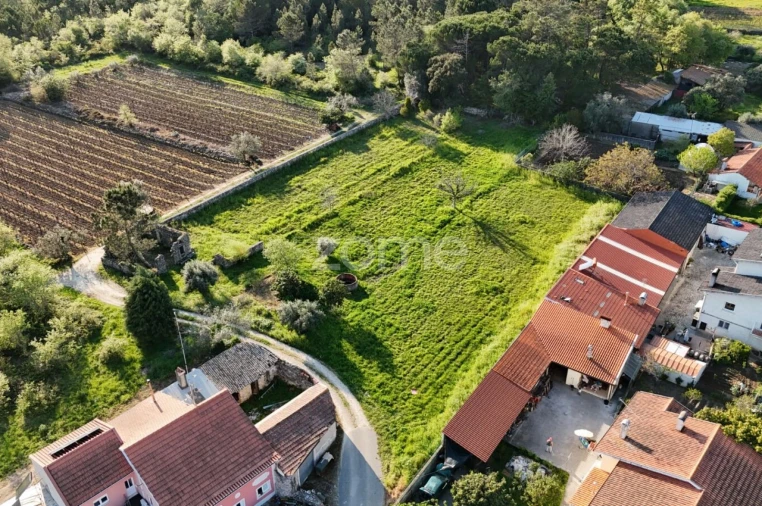Terreno para Venda em Portunhos e Outil Foto 23