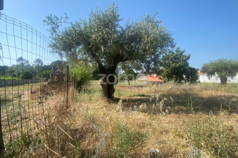 Terreno para Venda em Portunhos e Outil Foto 12