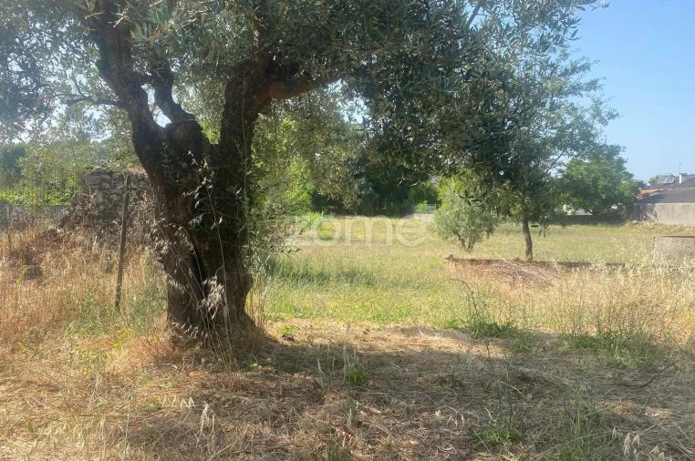 Terreno para Venda em Portunhos e Outil Foto 14