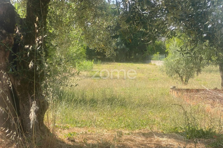 Terreno para Venda em Portunhos e Outil Foto 15