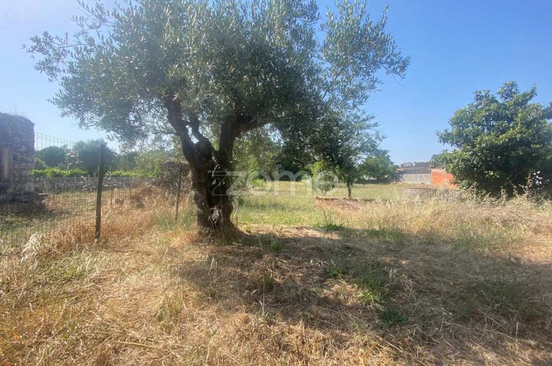 Terreno para Venda em Portunhos e Outil Foto 13