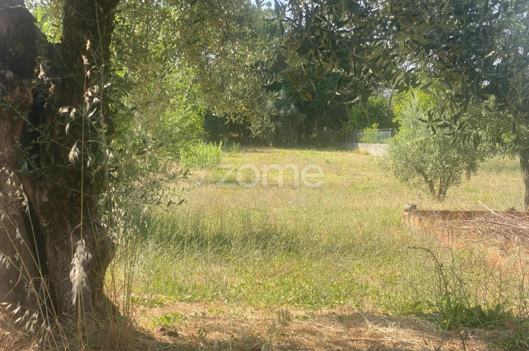 Terreno para Venda em Portunhos e Outil Foto 15
