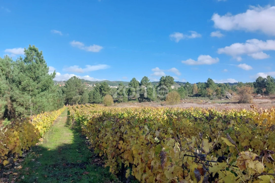 Terreno para Venda em Vila da Ponte Foto 2