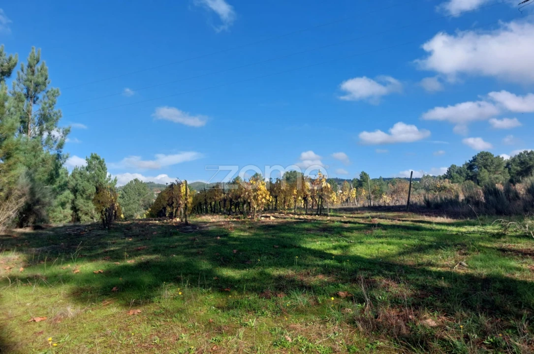 Terreno para Venda em Vila da Ponte Foto 7