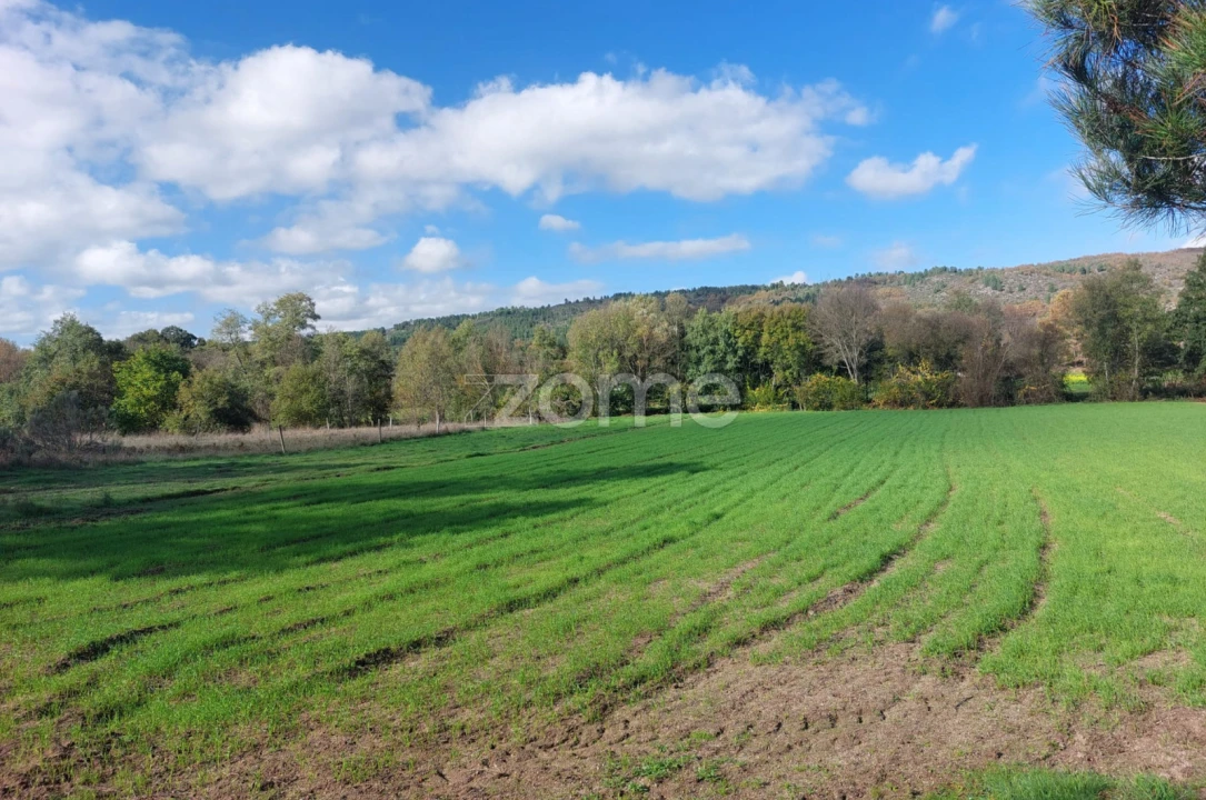 Terreno para Venda em Vila da Ponte Foto 3