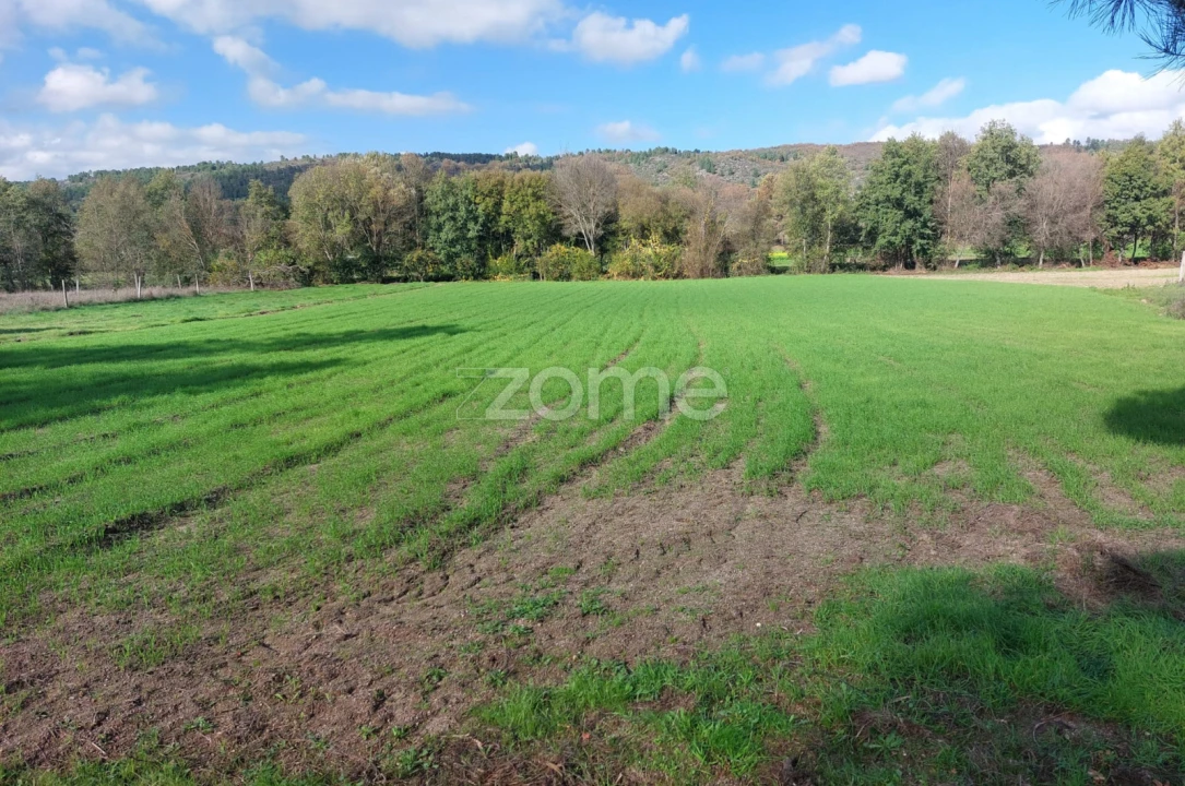 Terreno para Venda em Vila da Ponte Foto 4