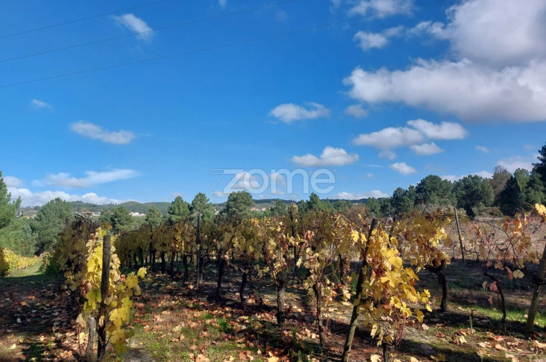 Terreno para Venda em Vila da Ponte Foto 8