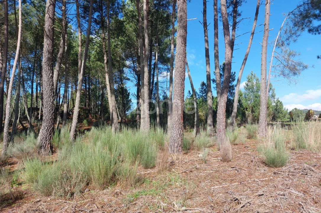 Terreno para Venda em Vila da Ponte Foto 15