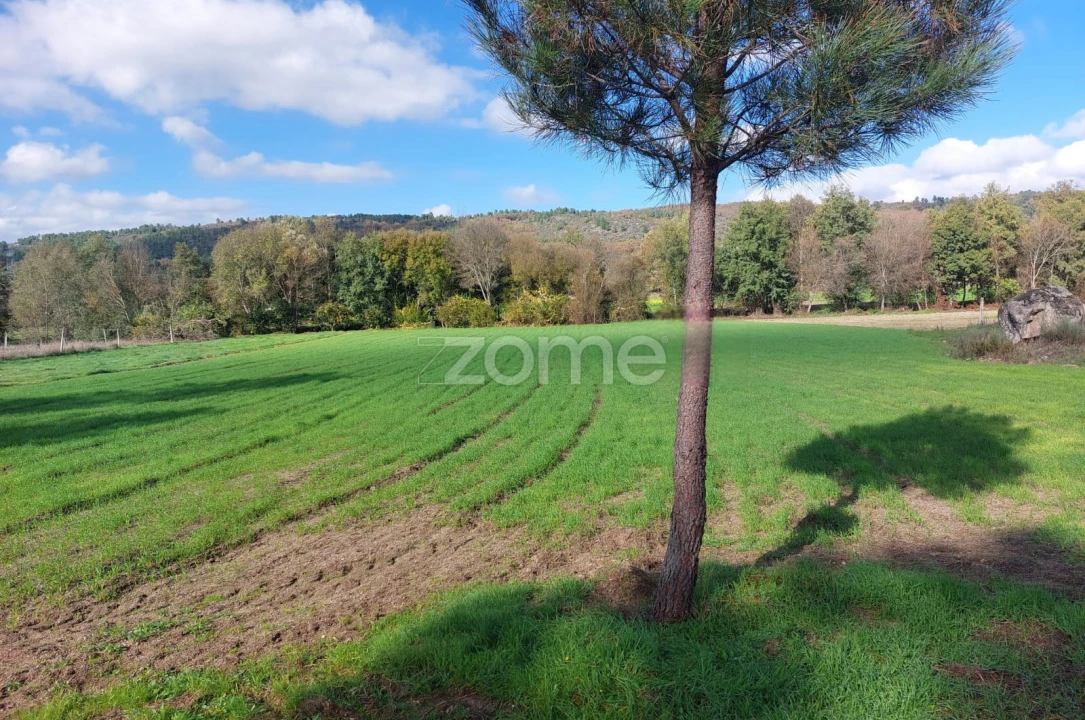 Terreno para Venda em Vila da Ponte Foto 16