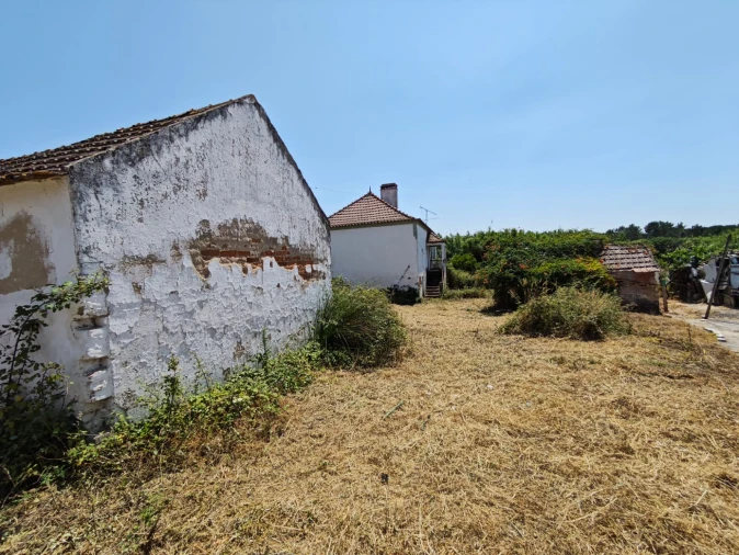 Moradia T3 para Venda em Branca Foto 1