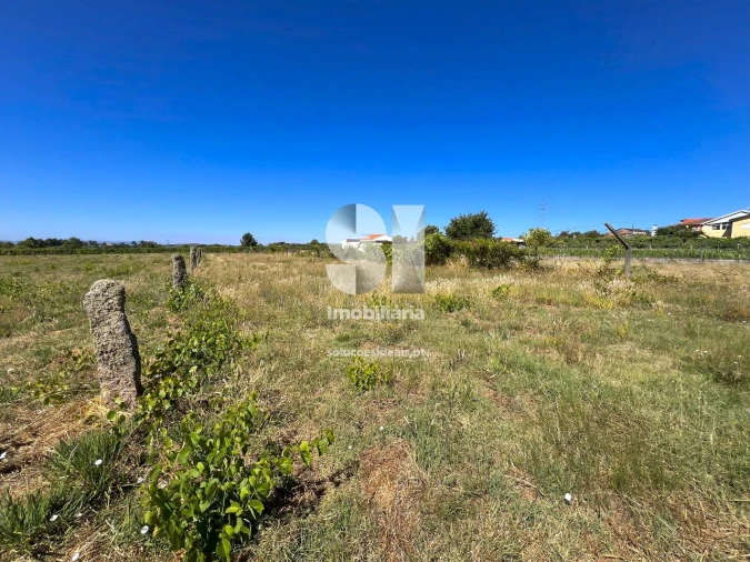 Terreno para Venda em São Martinho de Antas e Paradela de Guiães Foto 6