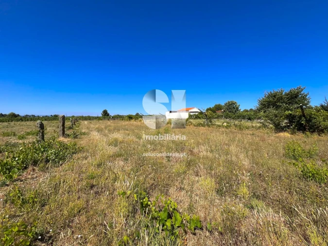 Terreno para Venda em São Martinho de Antas e Paradela de Guiães Foto 7