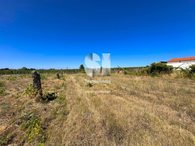 Terreno para Venda em São Martinho de Antas e Paradela de Guiães Foto 8