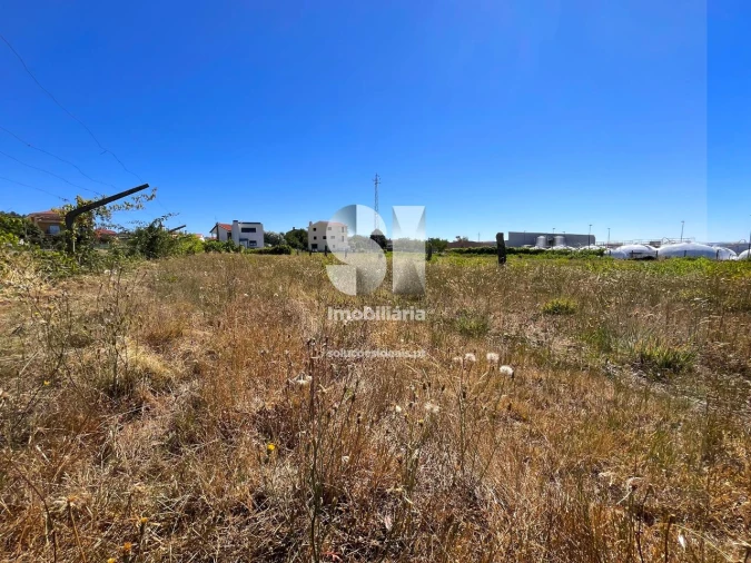 Terreno para Venda em São Martinho de Antas e Paradela de Guiães Foto 12